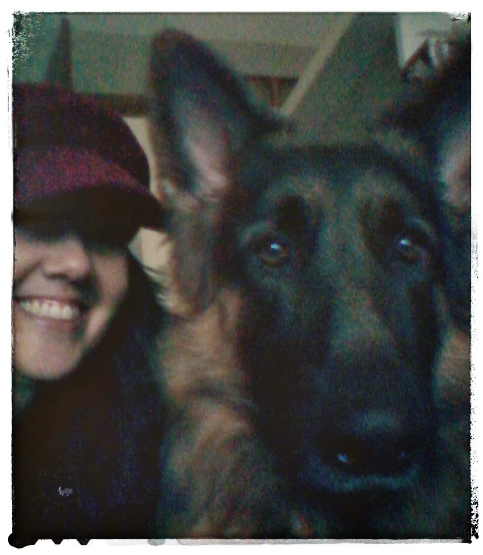 Sammy the German Shepherd