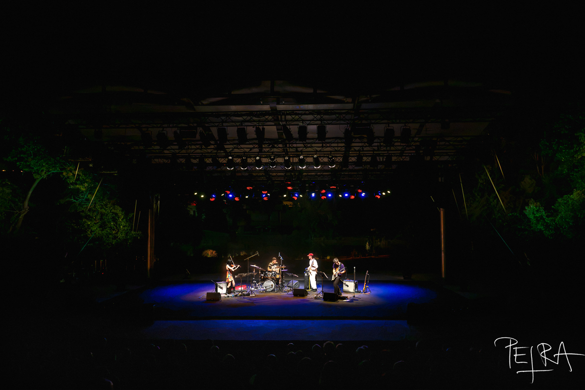 Shardik Cruelty Bacchanal — jazz photo by Petra Cvelbar | All About Jazz