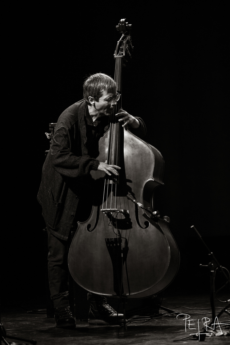 BILL FRISELL TRIO featuring THOMAS MORGAN & RUDY ROYSTON