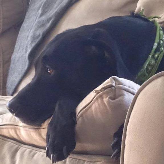 Mingus listening to jazz