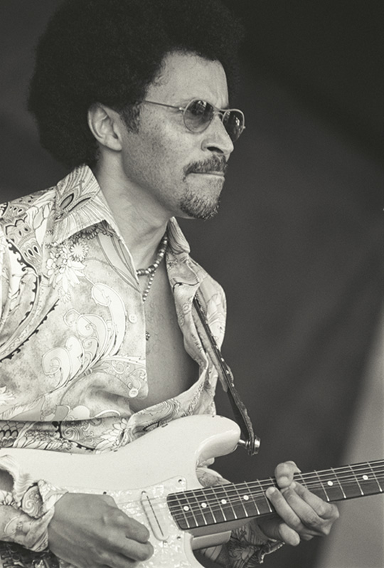 Renard Poche