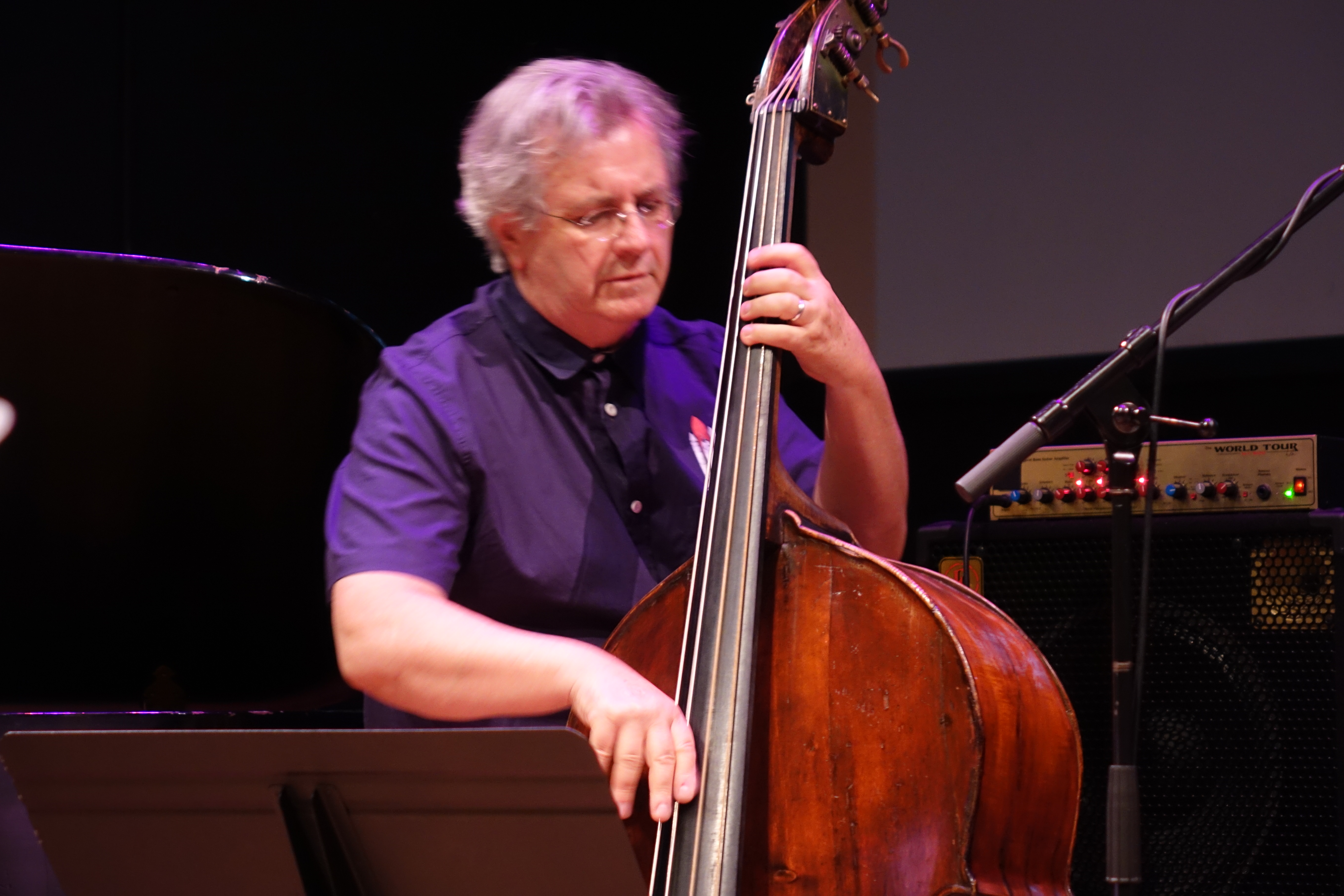 Michael Bisio at the Vision Festival at Roulette, Brooklyn in May 2018