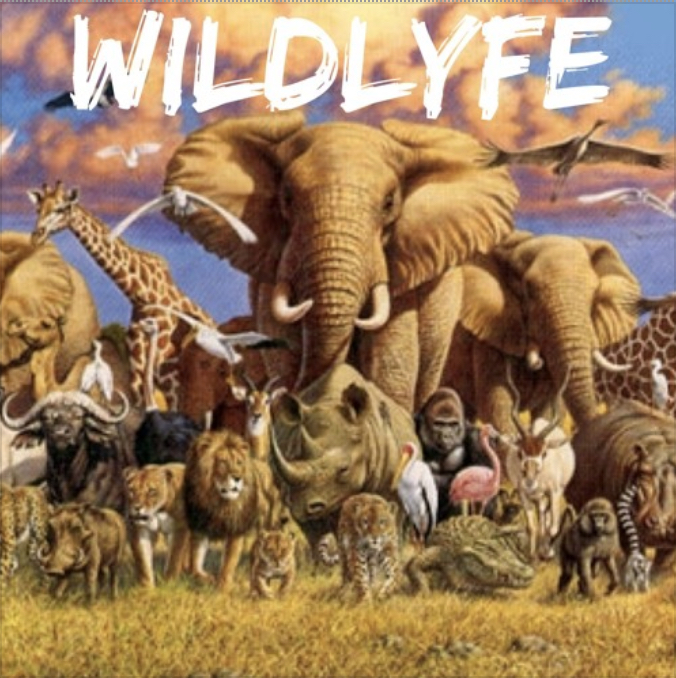 Wildlyfe EP