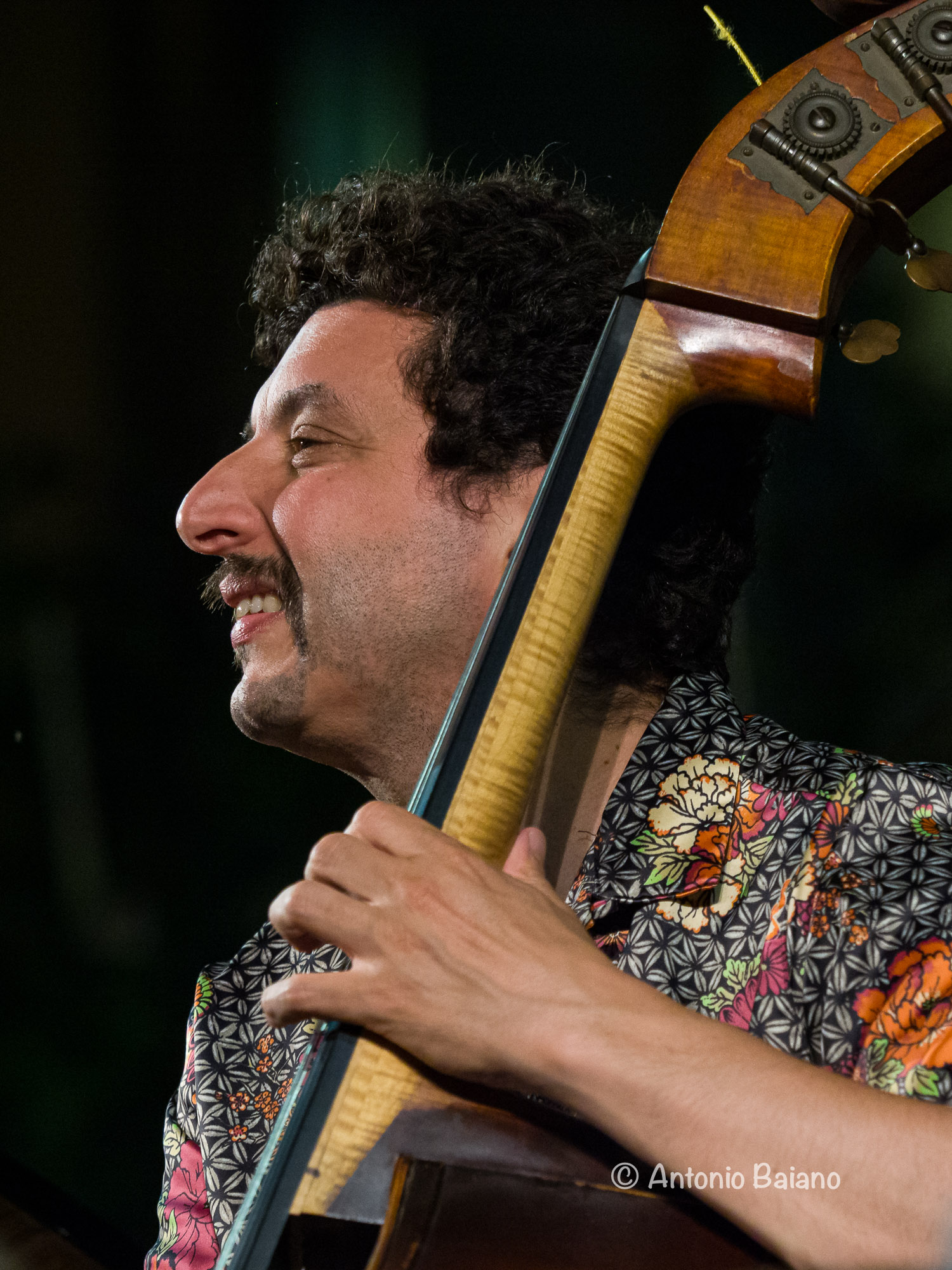 Omer Avital