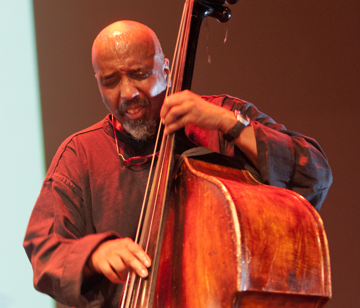 William Parker with Tony Malaby's Tamarindo Trio at the Vision Festival 2011