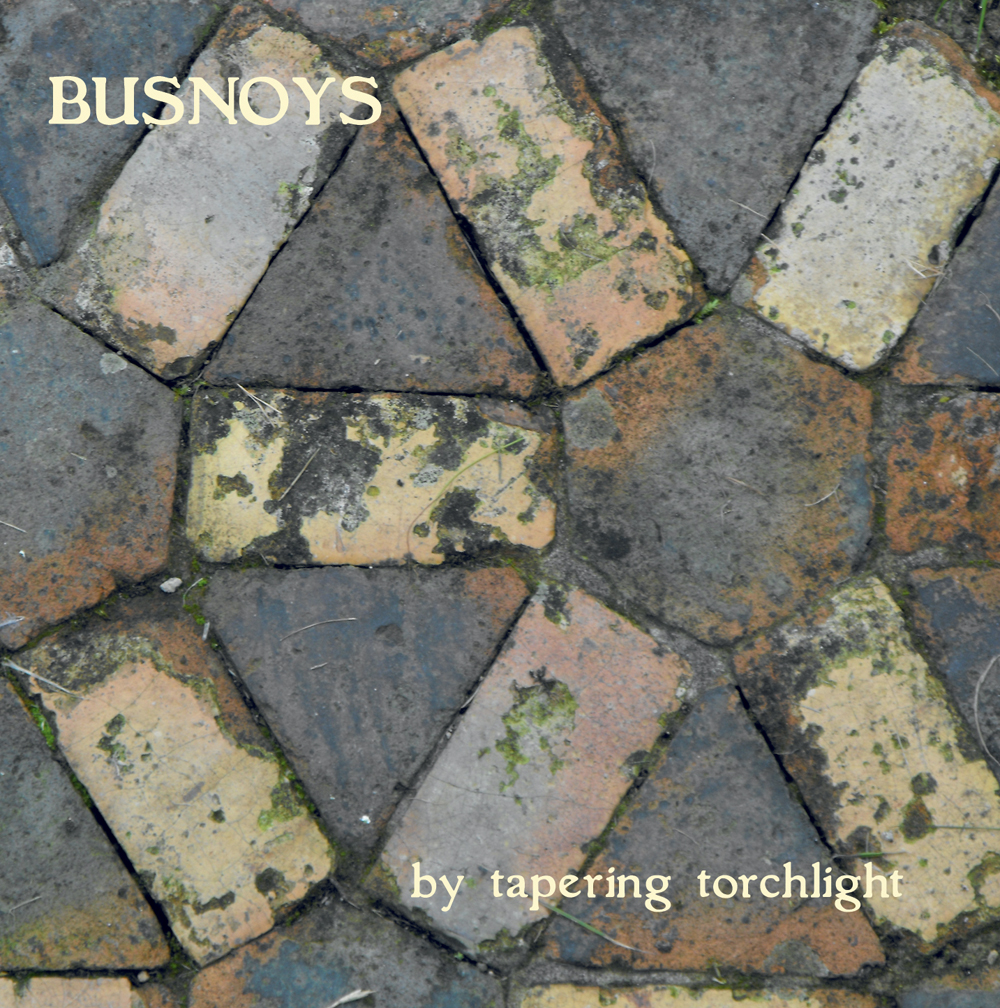 By Tapering Torchlight - Album Cover