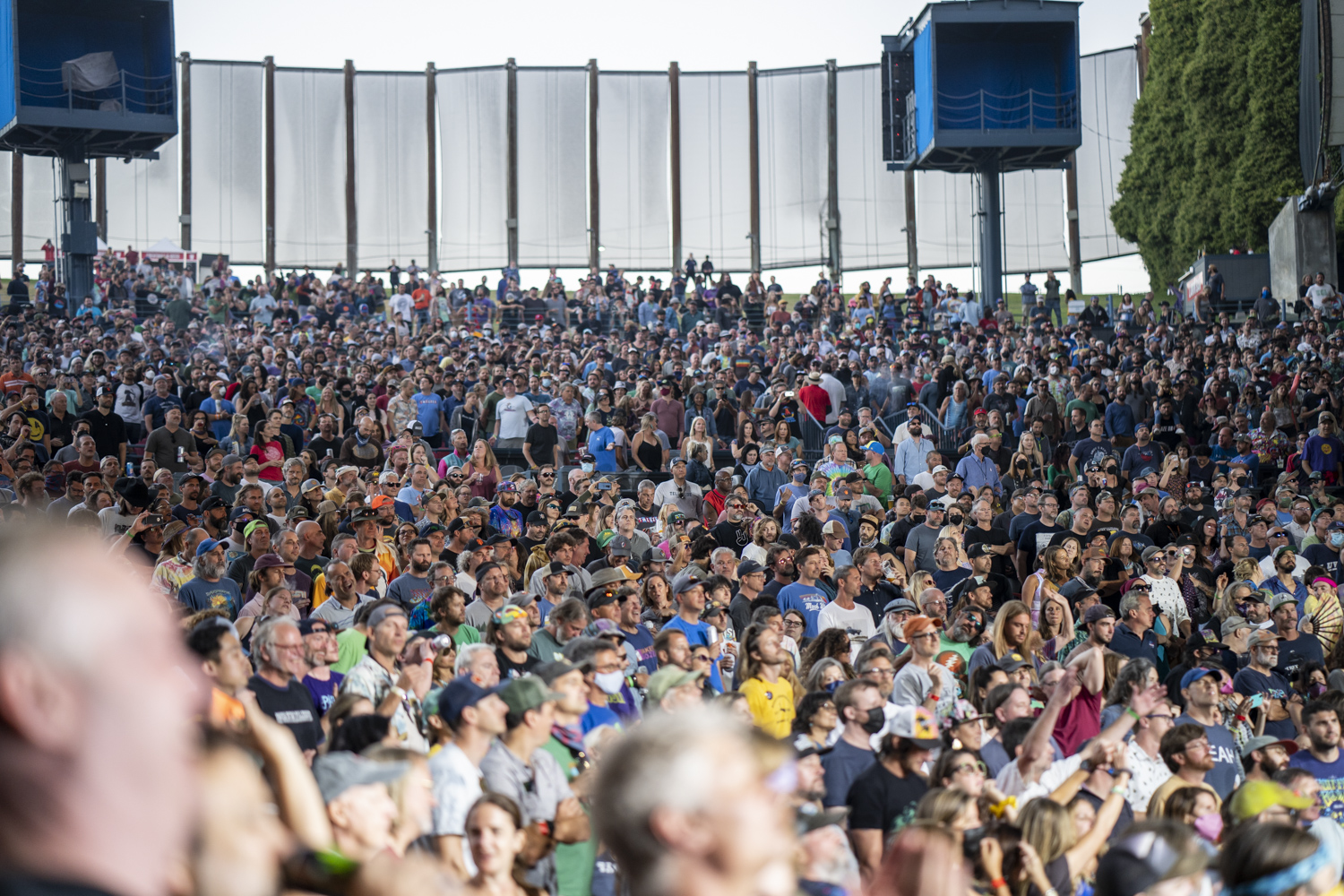 Shoreline Crowd