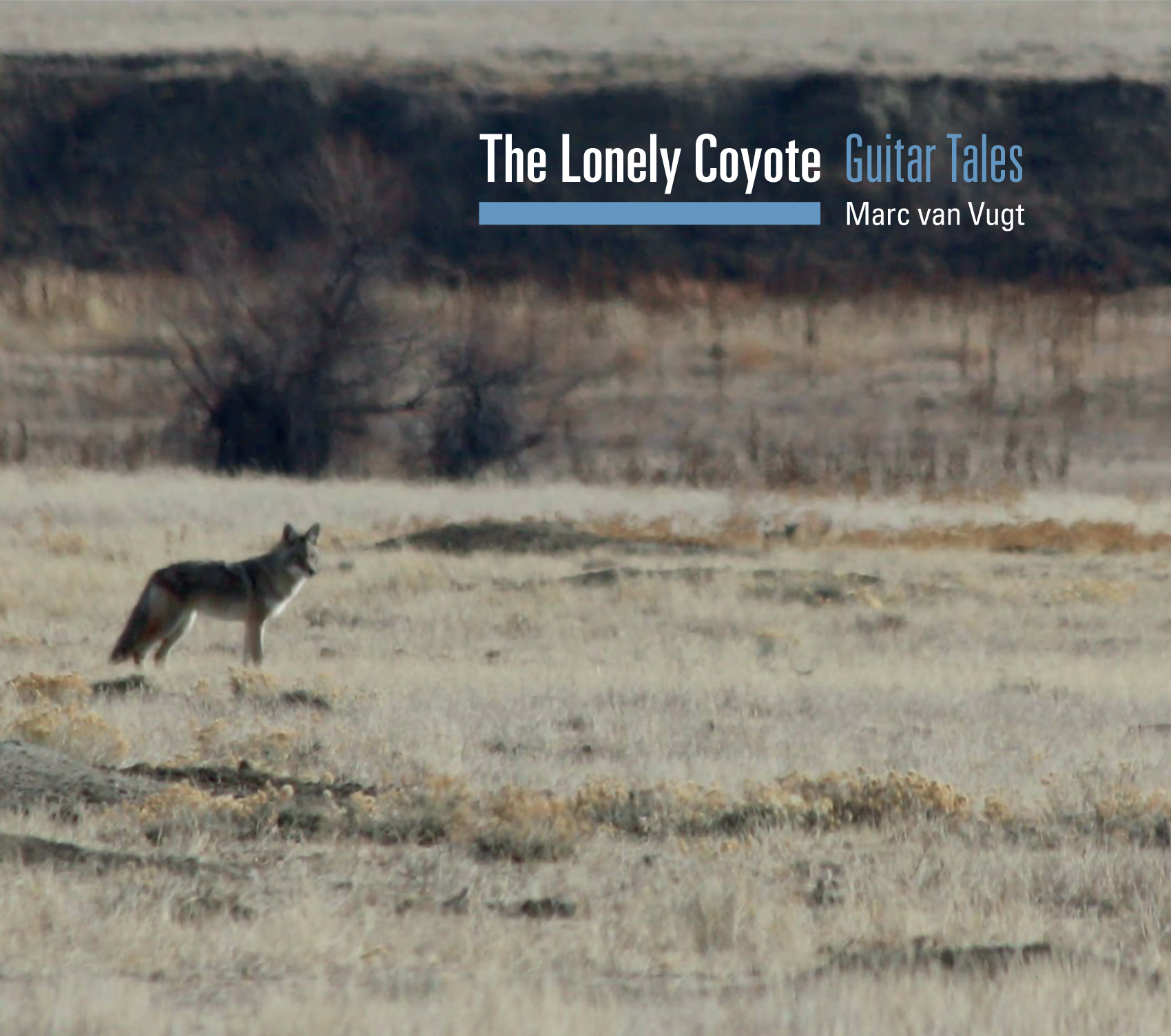 The Lonely Coyote - Marc van Vugt