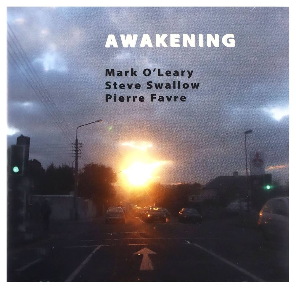 O'Leary Swallow Favre Awakening