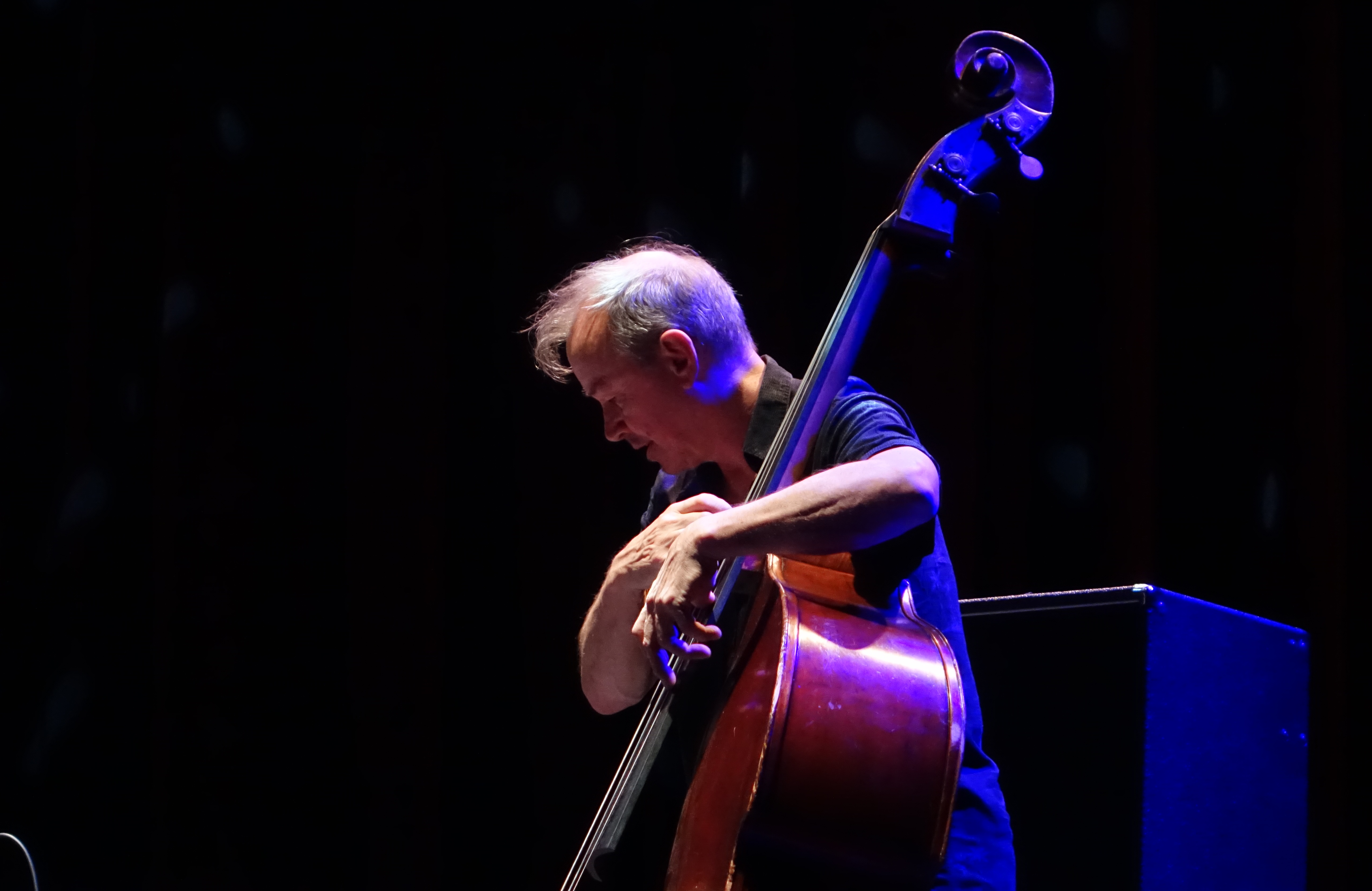 John Edwards at Jazzfest Berlin on 31 October 2024