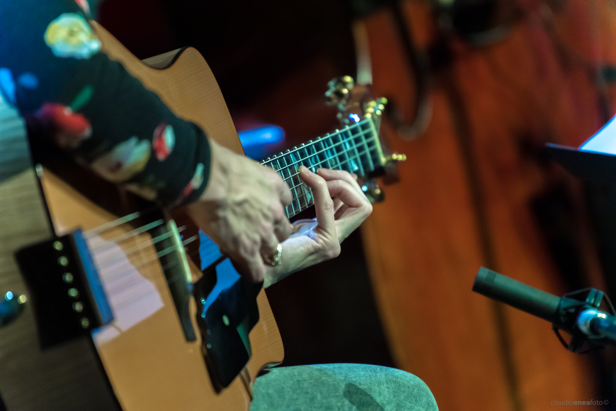 Michael Formanek's Very Pratical Trio - Auditorium Parco della Musica Roma 22.01.2019