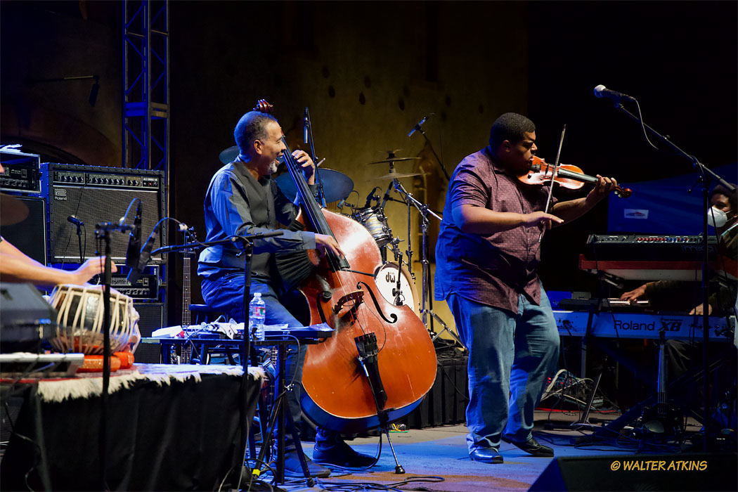 Stanley Clarke At Charles Krug Estate