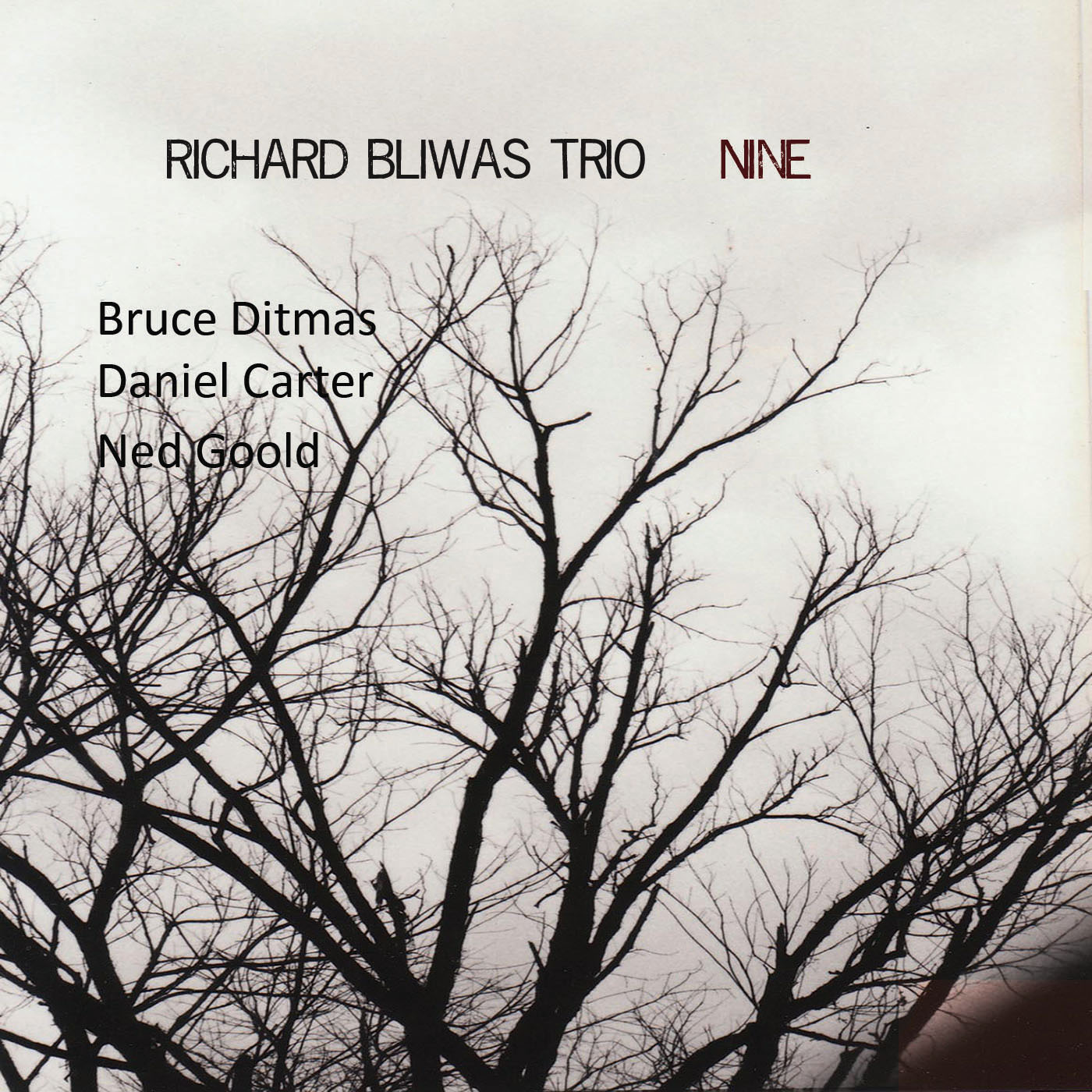 Nine — jazz photo by Richard Bliwas | All About Jazz