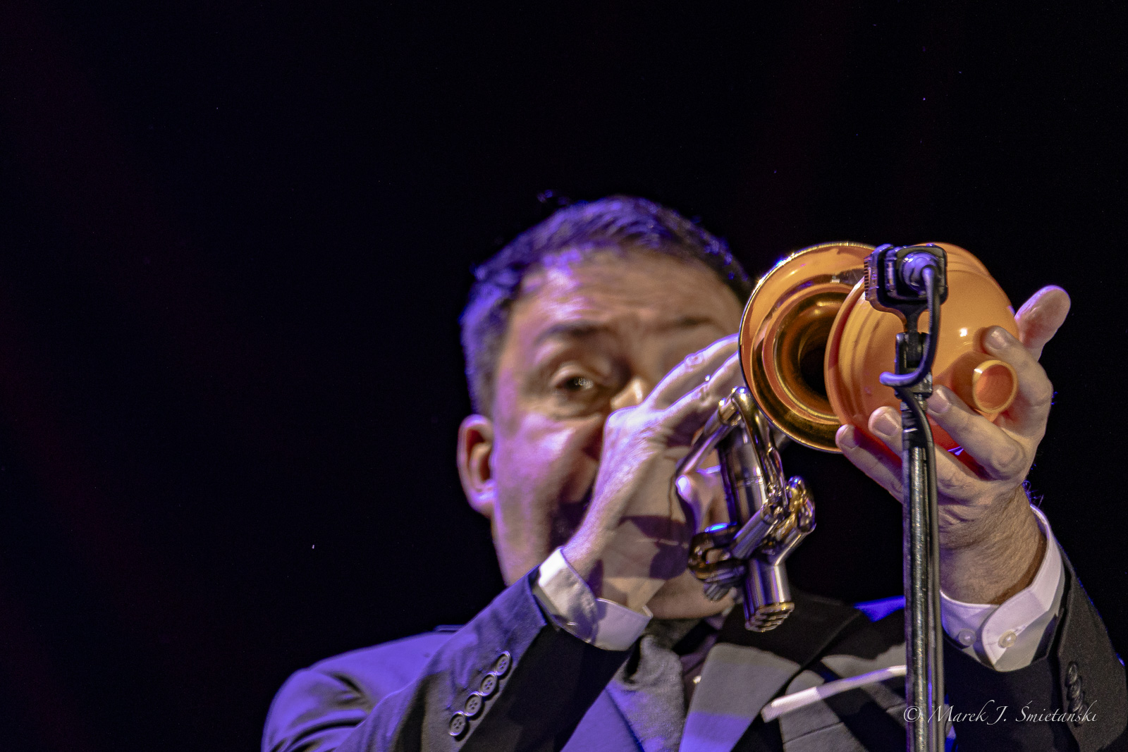 Pink Martini
