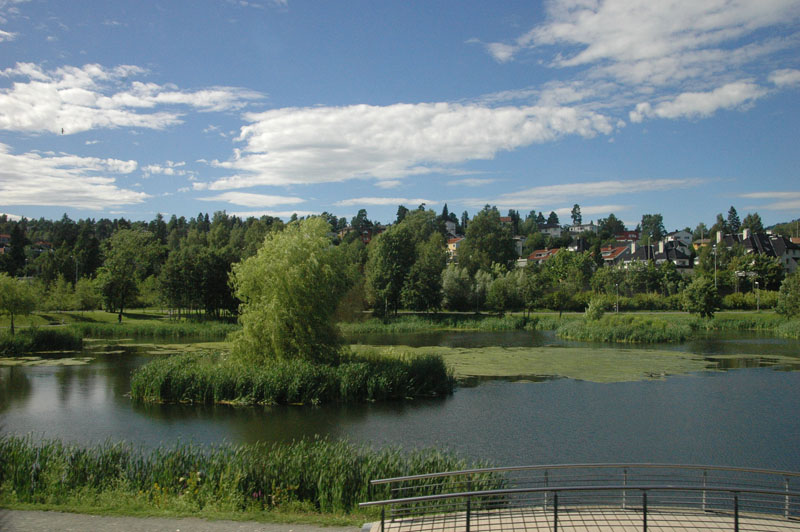 Scenes from Oslo