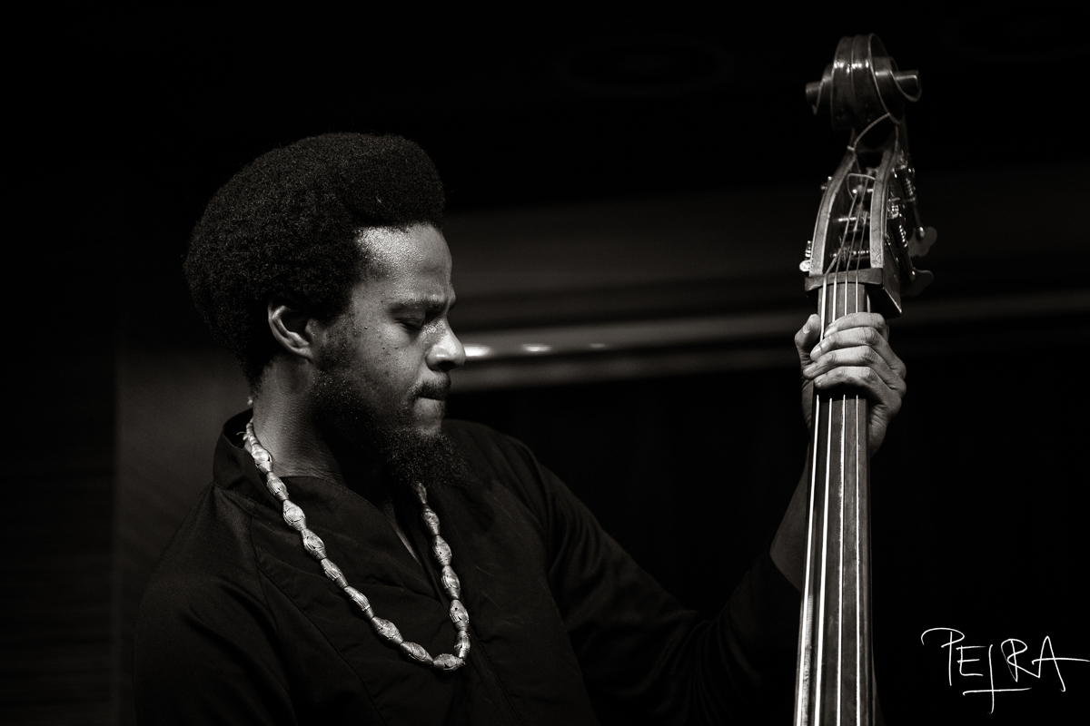 Luke Stewart Silt Trio