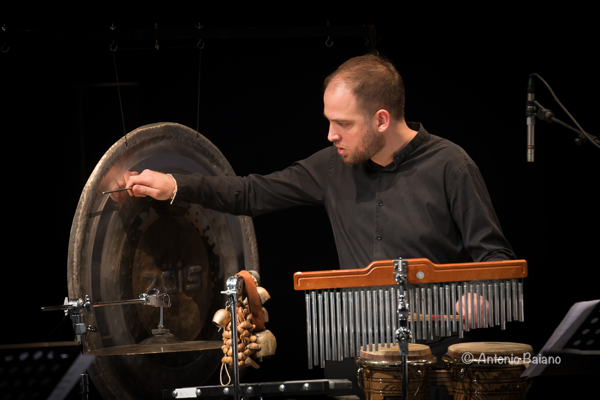 Nicola Ciccarelli