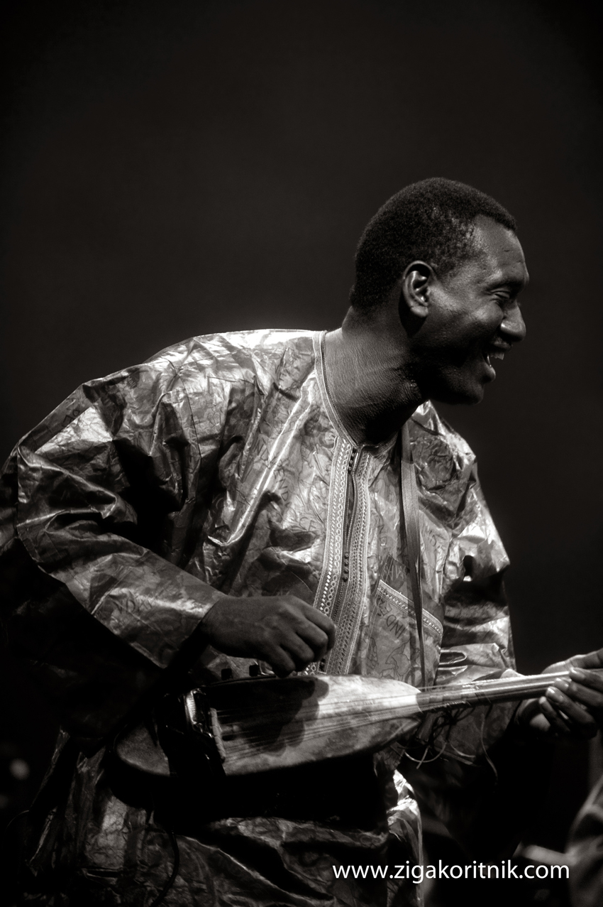 Afrocubism / Bassekou Kouyate