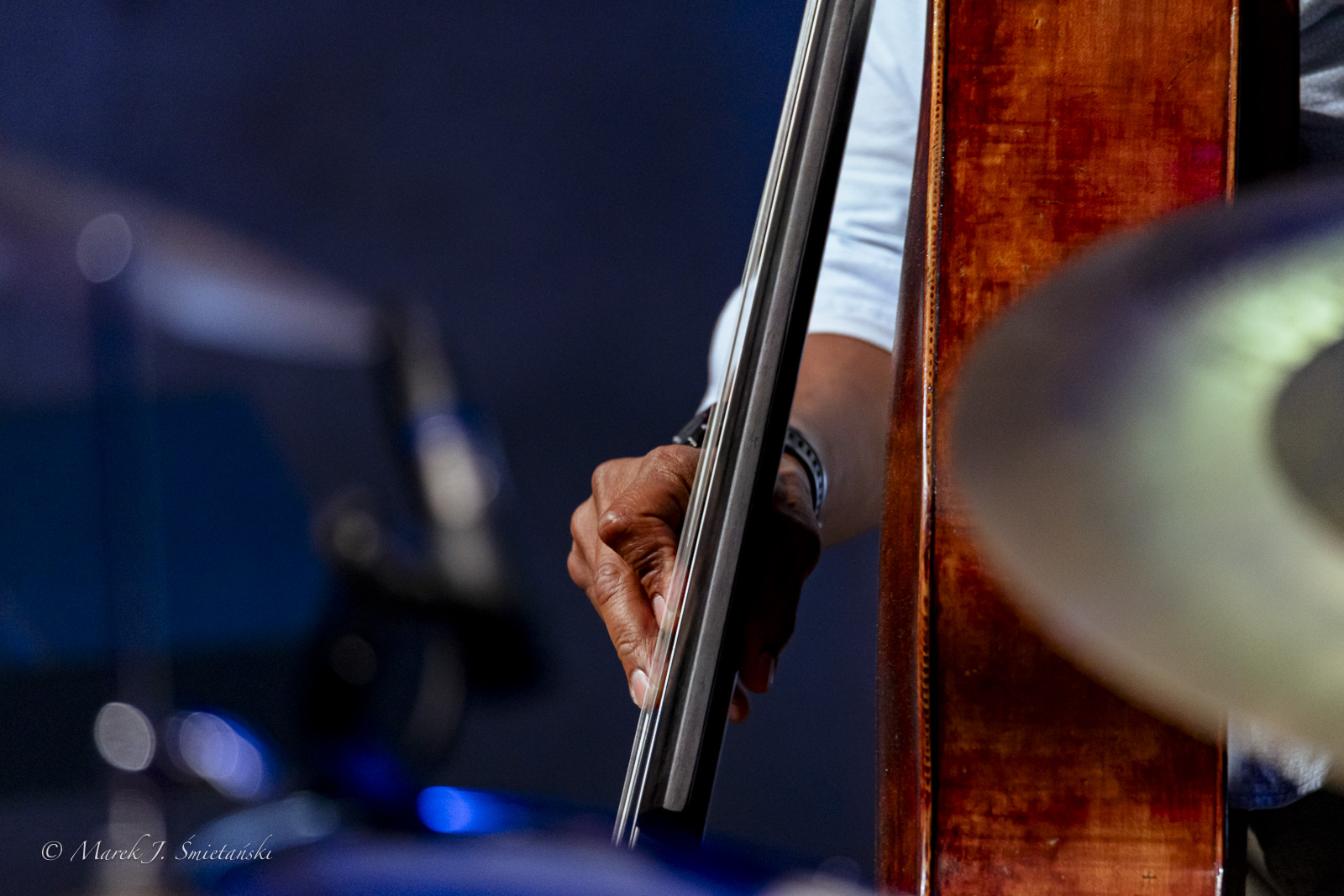 Omar Rodriguez Calvo — jazz photo by Marek J. Śmietański | All About Jazz