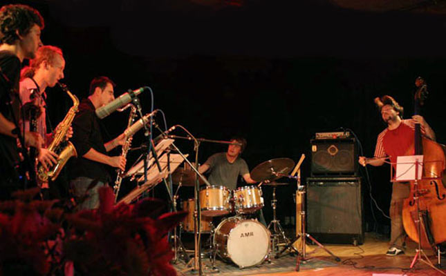 Ortolan at the Amr, Sud Des Alpes, Geneva, Switzerland,2005