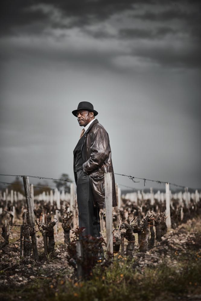 Archie Shepp in Château Palmer's Vines — jazz photo by CHATEAU PALMER | All About Jazz