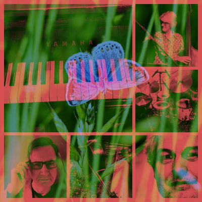 Windsor Jazz Club: Small Blue Trio at Windsor Jazz Club