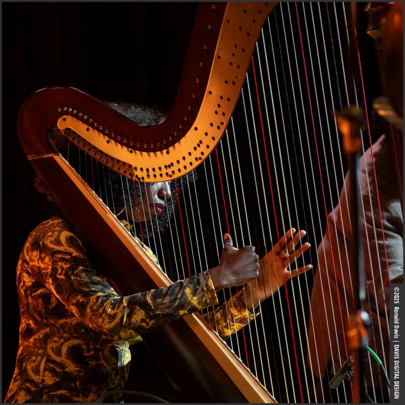 Click to view larger version