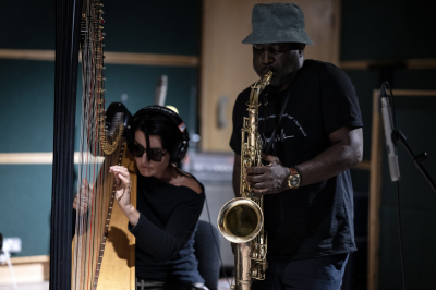 Alina Bzhezhinska Hip Harp Collective at Bray Jazz Festival at Mermaid Arts Centre