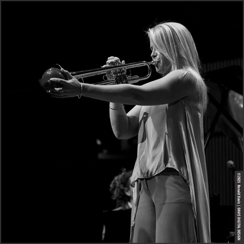 Click to view larger version