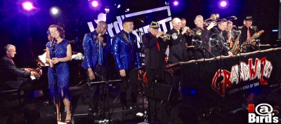 Grand WaZoo Kings of Soul : Streaming Live From The Vault at Bird's Basement Jazz Club