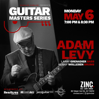 Guitar Masters Series: Adam Levy at Zinc Bar