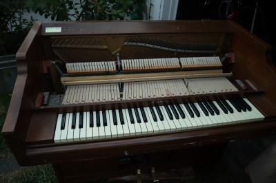 The Peripatetic Piano at Peninsula Park