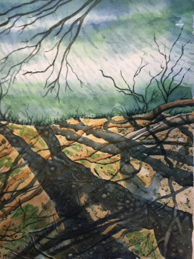 Larry Natwick Trio at Arneson River Theatre 