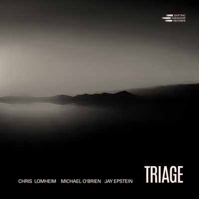 Chris Lomheim - Michael Obrien - Jay Epstein : 'Triage' CD Release at Crooners Supper Club