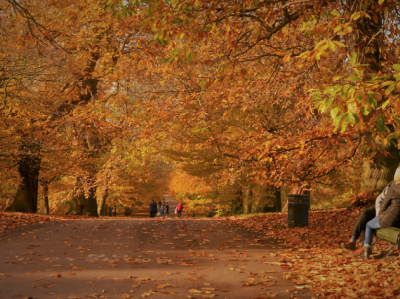 The Johnny Horner Trio at Outpost 186