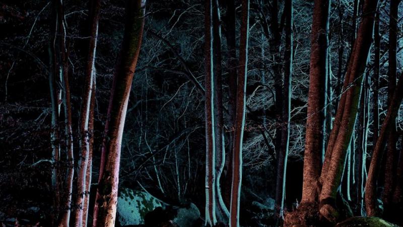 Nils Petter Molvaer in Benrath Forest Nils Petter Molvaer in Benrath Forest