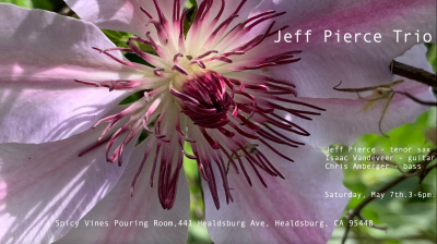 Jeff Pierce Trio  at Spicy Vines Winery