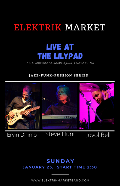 Elektrik Market at Lilypad