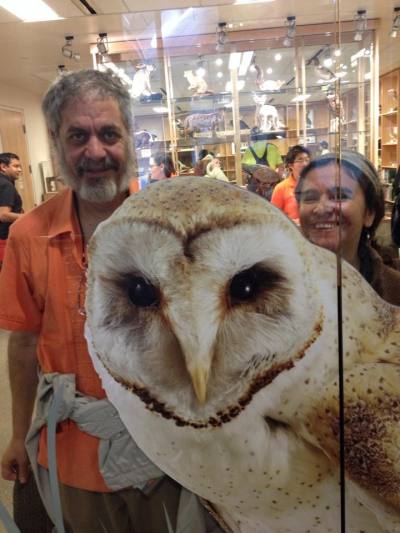 Los Buhos - Musica Latina at El Quetzal Restaurant