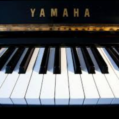 Keith Chasin & His Band at Chris' Jazz Cafe