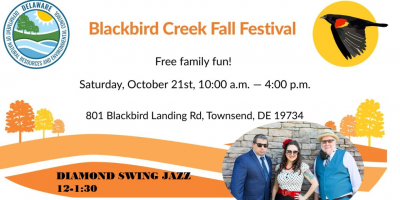 DiAMOND SWiNG PuLLS OUT AuTUMn BoO K  for GiG   at Blackbird Creek Fall Festival