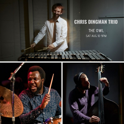 Chris Dingman Trio at The Owl Music Parlor