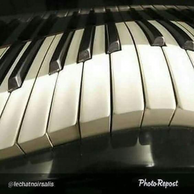 88 Keys Of The Piano Series Downstairs In The Cellar at Le Chat Noir De Salis