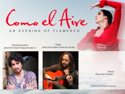 Como El Aire, An Evening Of Flamenco at Soapbox Gallery