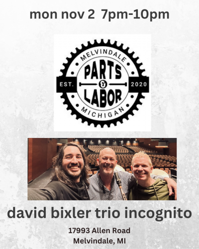 David Bixler Trio Incognito