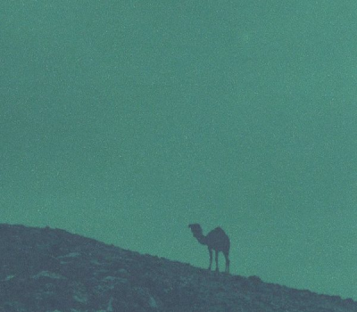 Shayna Dulberger: Active Projects at Roulette - event poster Shayna Dulberger: Active Projects at Roulette