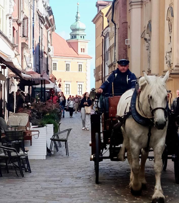 Carriage in Warsaw© 2026 Martin McFie