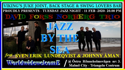 David Forss Norberg - Trio - At Last !!! at Viking´s Juke Joint / Back Stage