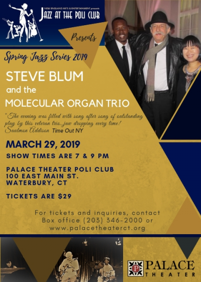 Steve Blum And The Molecular Organ Trio at Palace Theater Poli Club