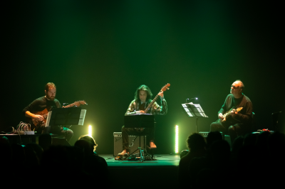 Spiralis Aurea Trio at Pardon, To Tu